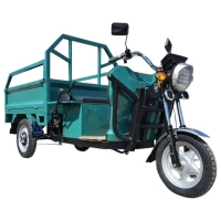Грузовой электротрицикл Булат-Тех ГЭТ 300 Зелёный